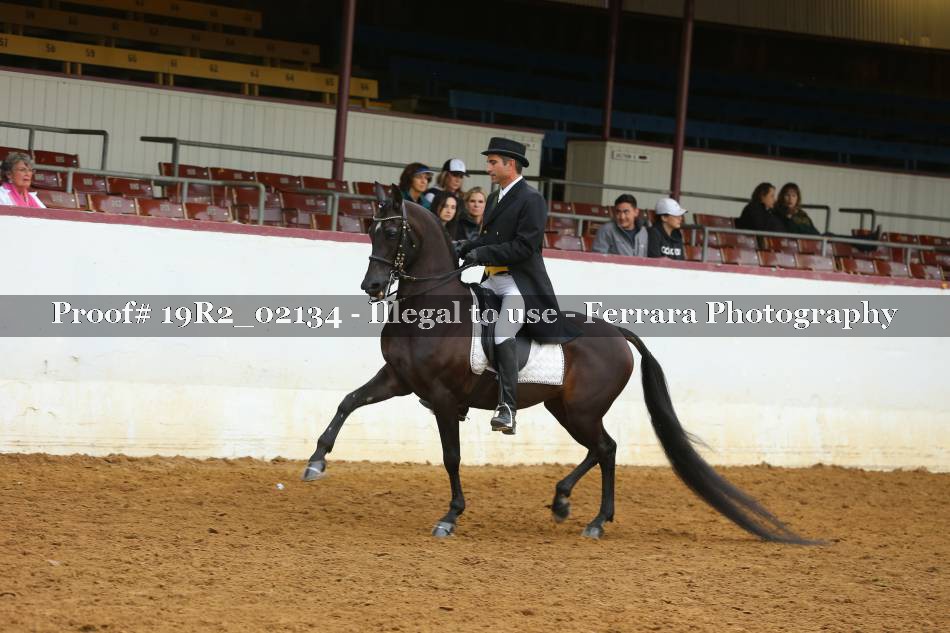 Proof 19R2_02134
