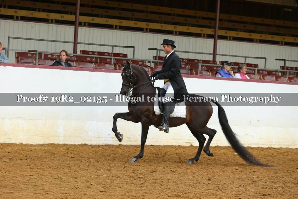 Proof 19R2_02135
