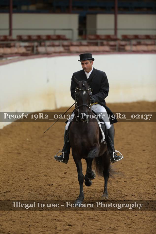 Proof 19R2_02137