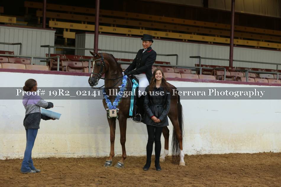 Proof 19R2_02141