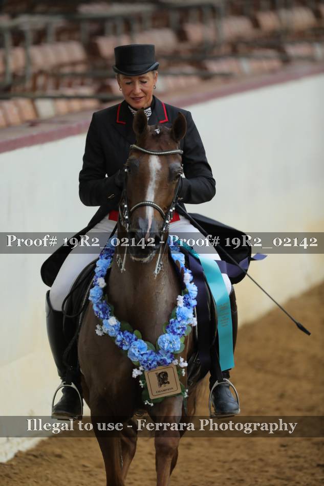 Proof 19R2_02142
