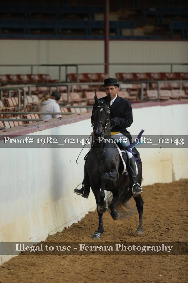 Proof 19R2_02143