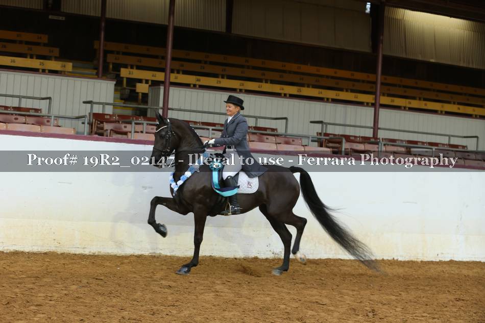 Proof 19R2_02147