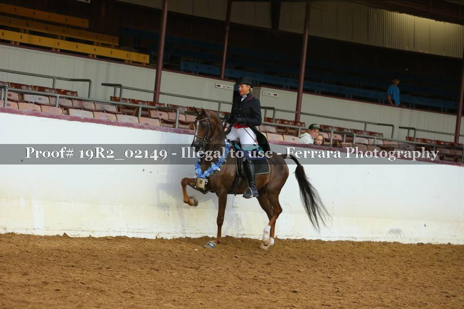 Proof 19R2_02149