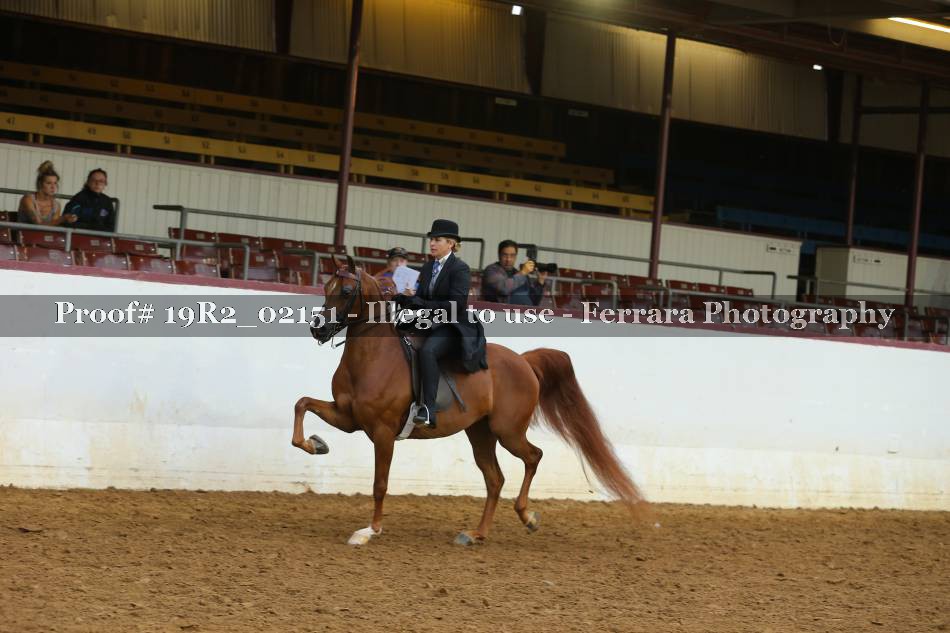 Proof 19R2_02151