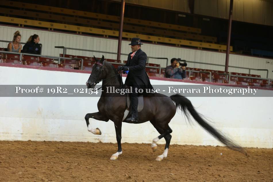 Proof 19R2_02154