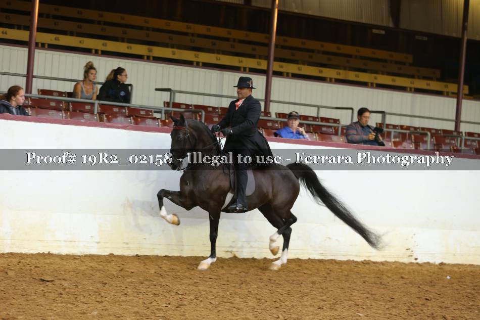 Proof 19R2_02158