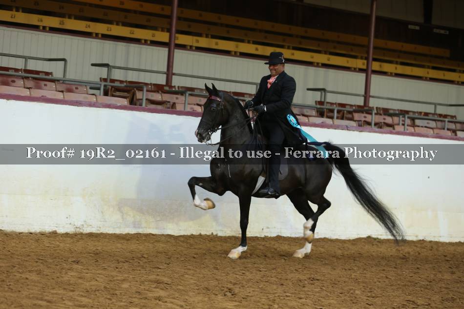 Proof 19R2_02161