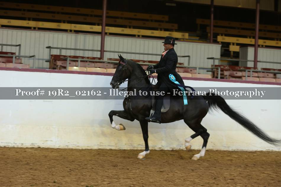 Proof 19R2_02162