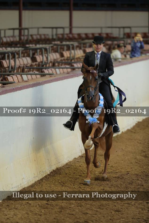 Proof 19R2_02164