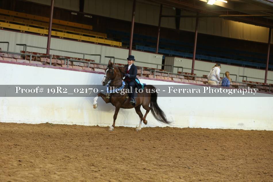 Proof 19R2_02170