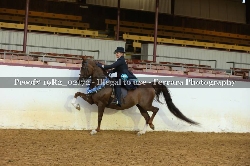 Proof 19R2_02172