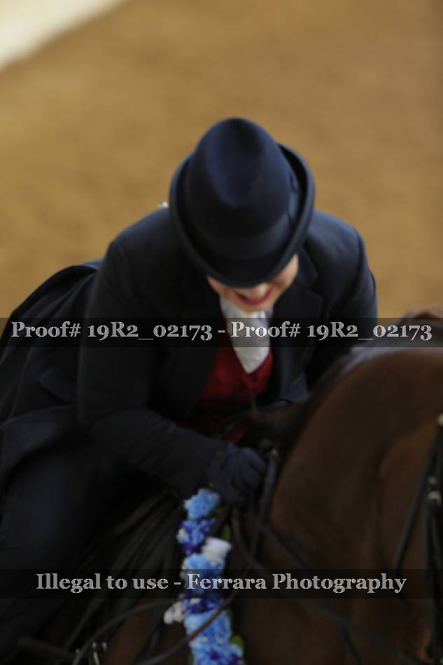 Proof 19R2_02173