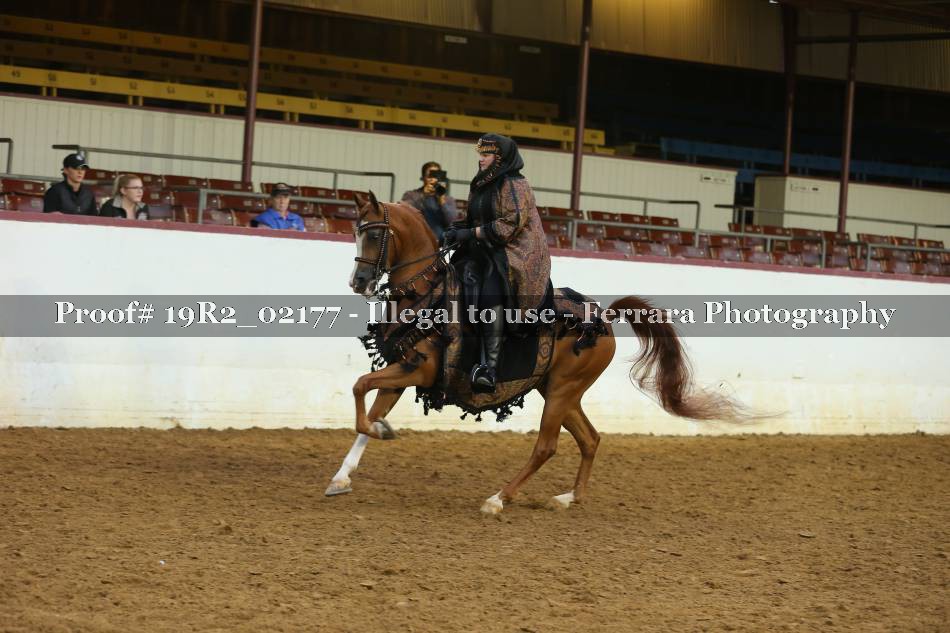 Proof 19R2_02177