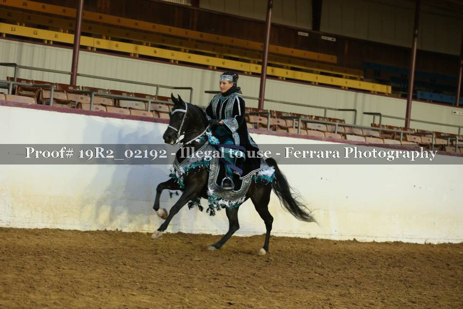 Proof 19R2_02192