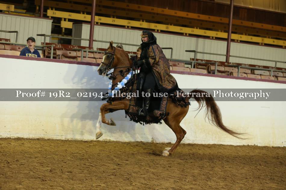 Proof 19R2_02194