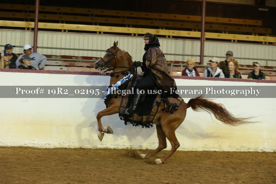 Proof 19R2_02195
