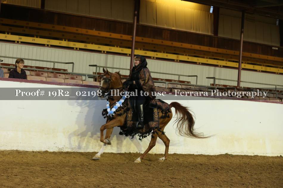 Proof 19R2_02198