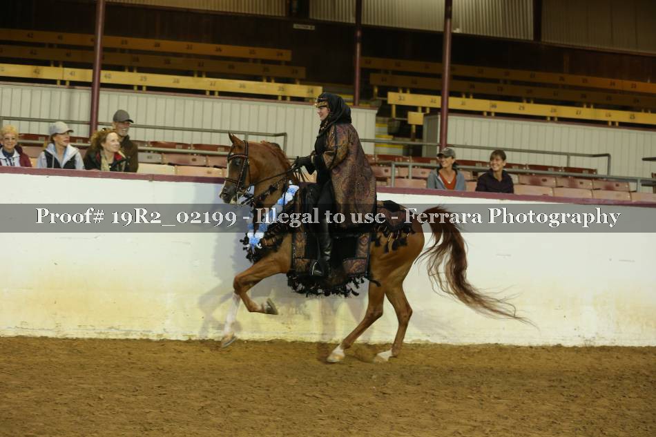 Proof 19R2_02199