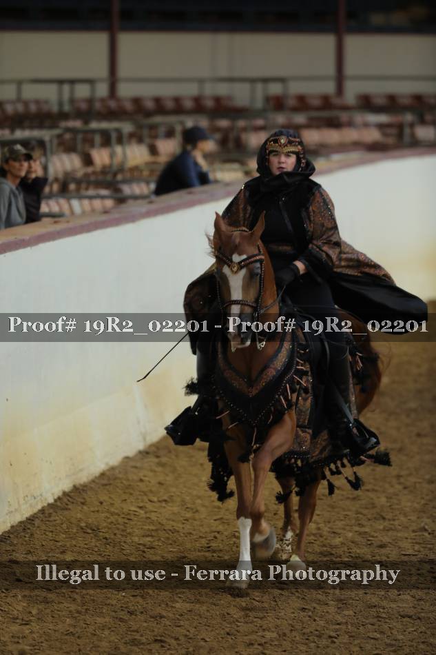 Proof 19R2_02201