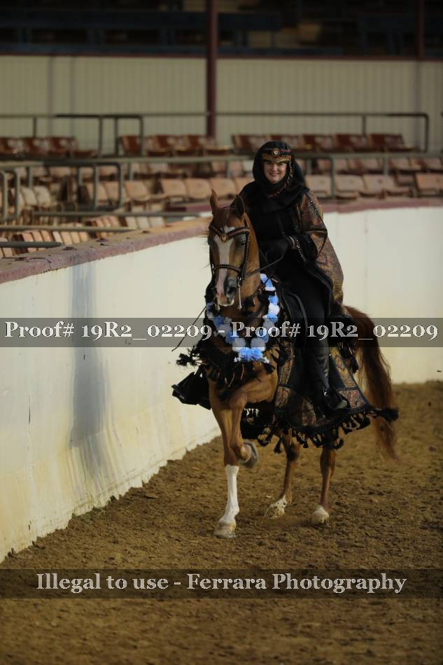 Proof 19R2_02209