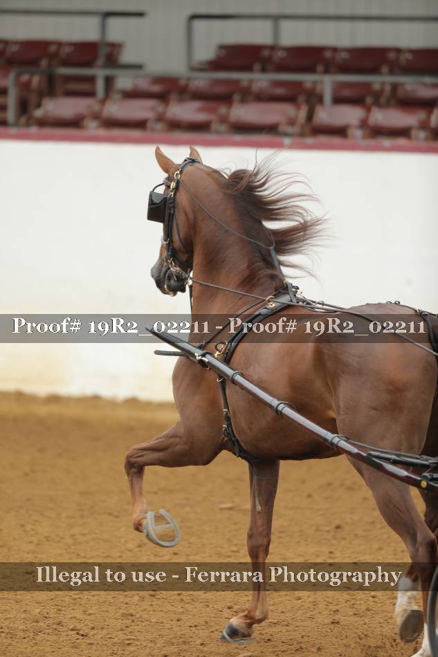Proof 19R2_02211