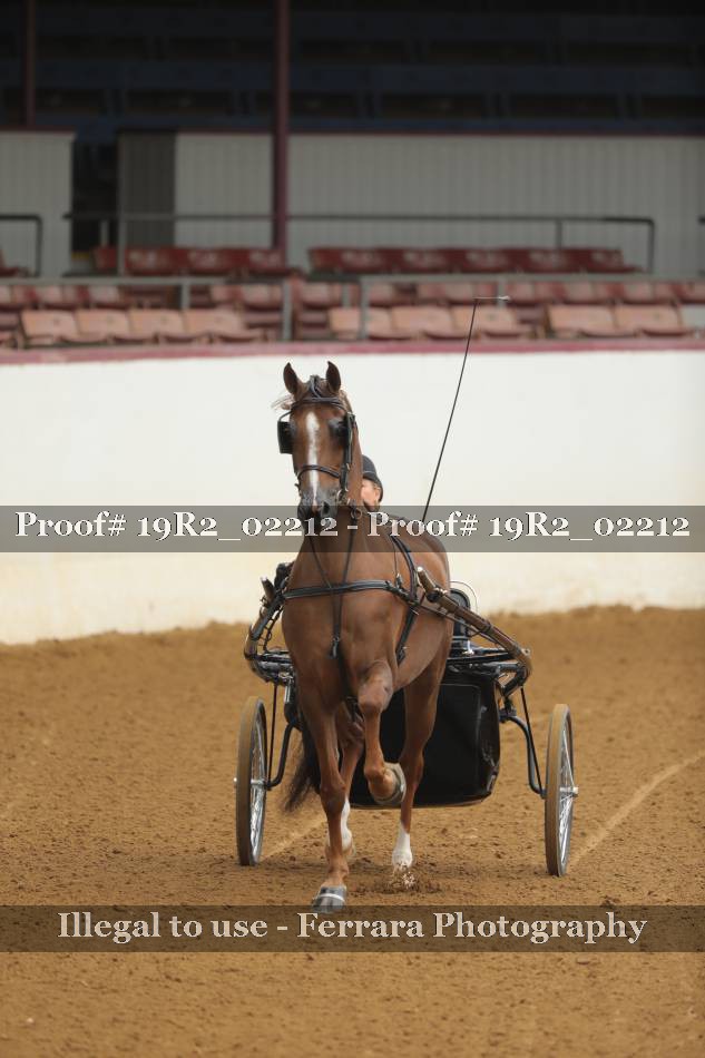 Proof 19R2_02212