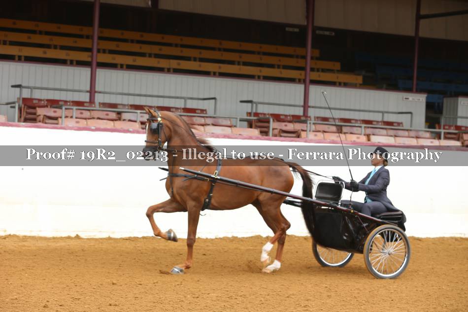 Proof 19R2_02213