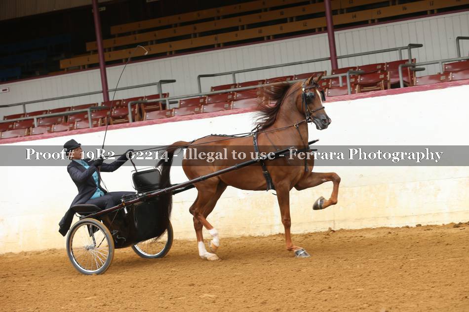 Proof 19R2_02214