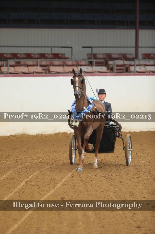 Proof 19R2_02215