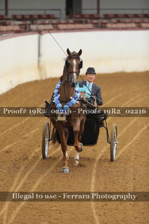 Proof 19R2_02216
