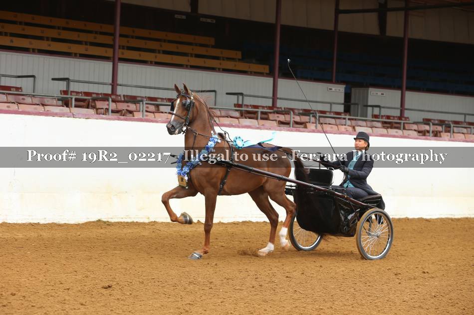 Proof 19R2_02217