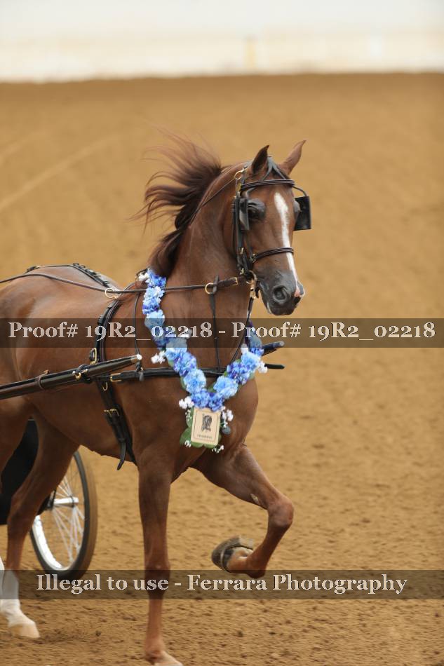 Proof 19R2_02218