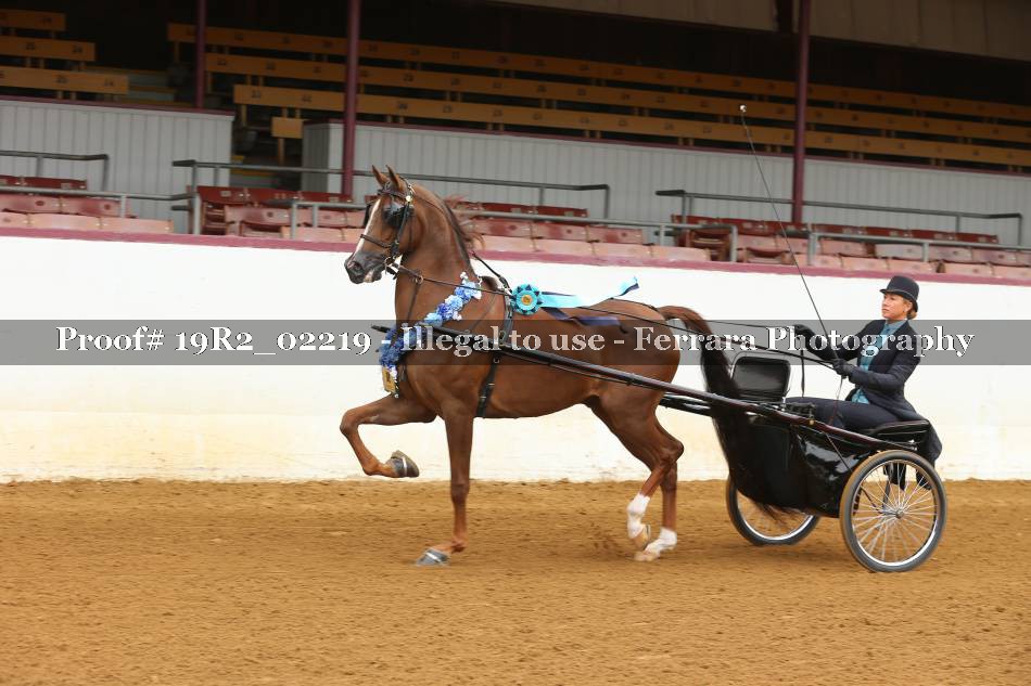 Proof 19R2_02219
