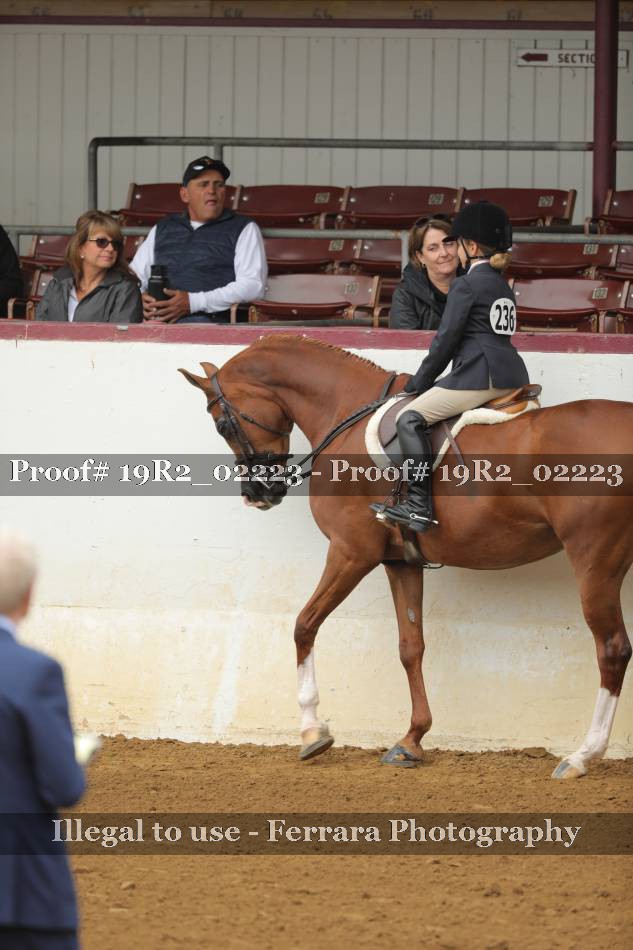 Proof 19R2_02223