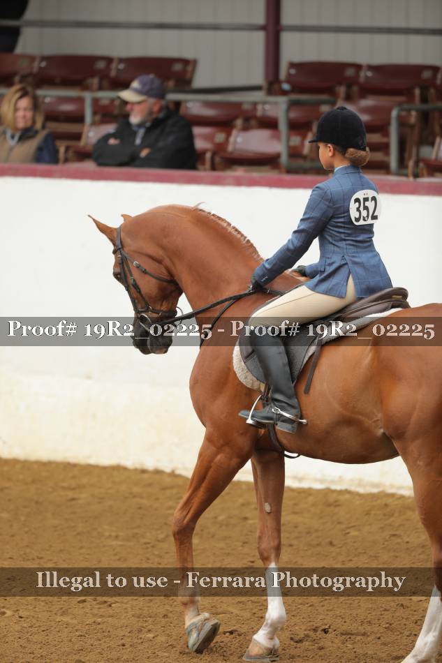 Proof 19R2_02225