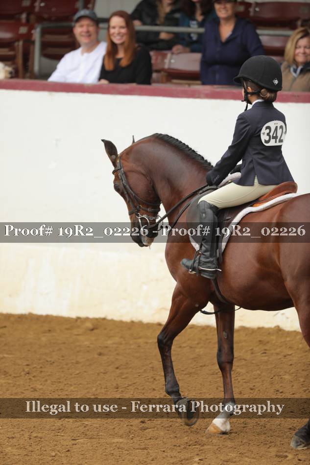 Proof 19R2_02226
