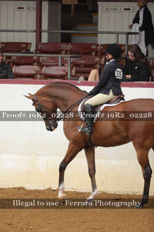 Proof 19R2_02228