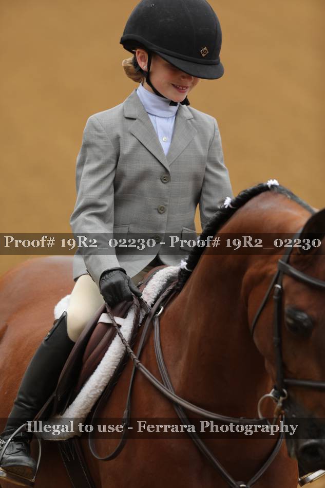 Proof 19R2_02230