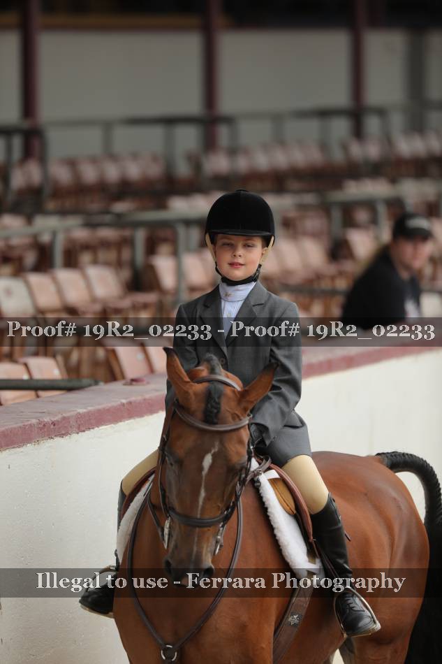 Proof 19R2_02233