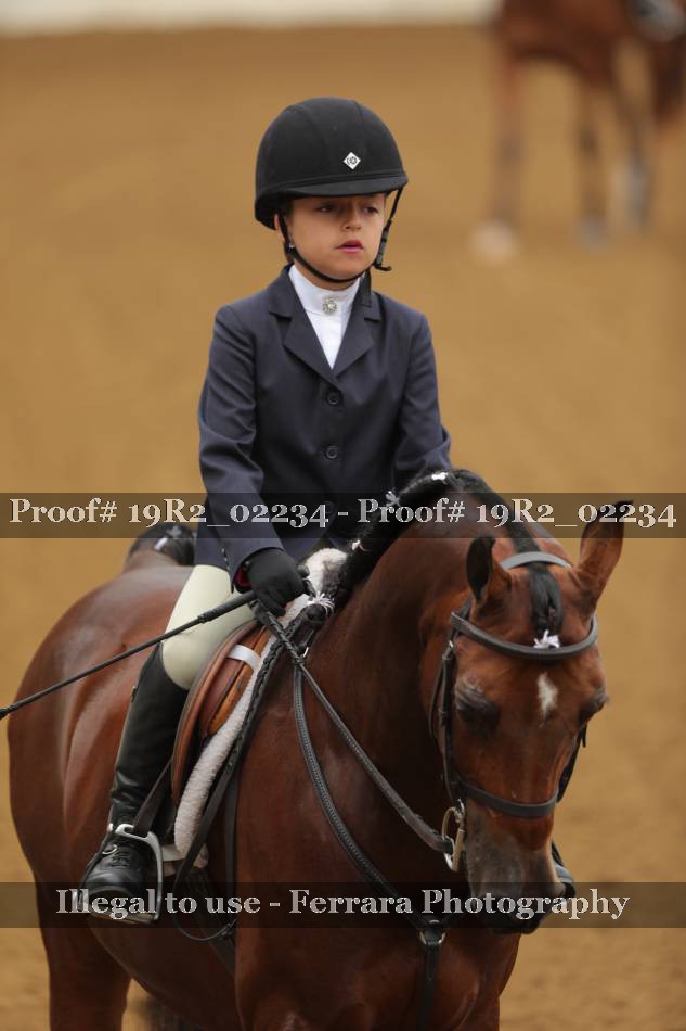 Proof 19R2_02234