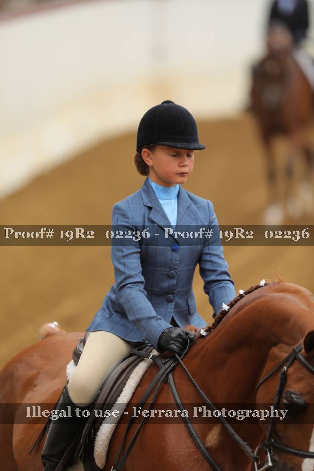 Proof 19R2_02236