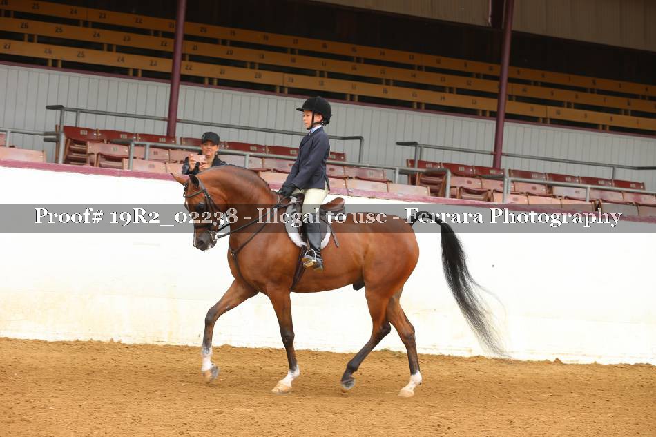 Proof 19R2_02238