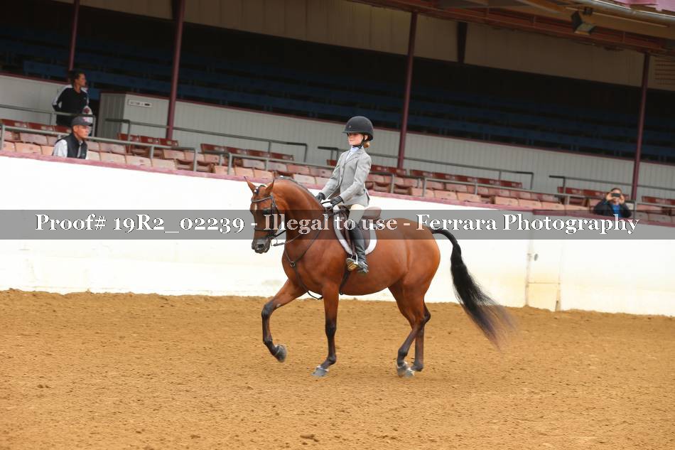 Proof 19R2_02239