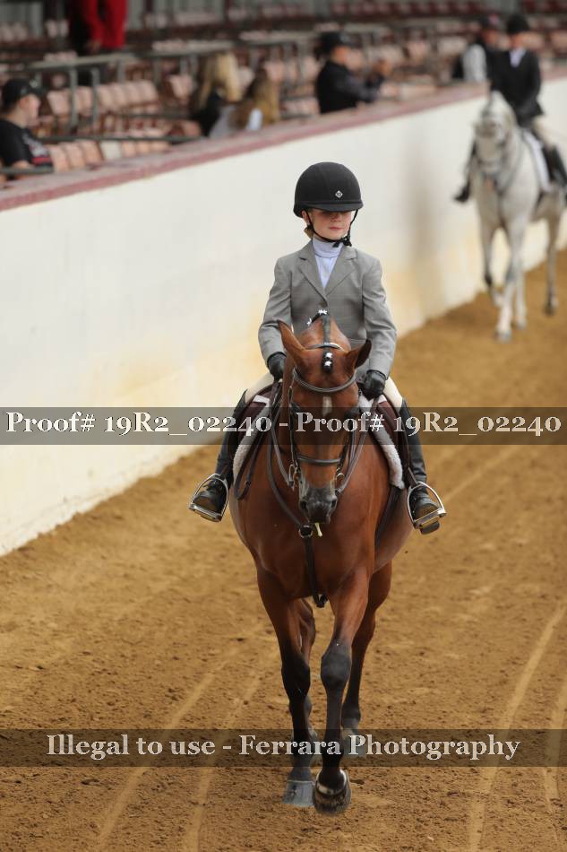 Proof 19R2_02240