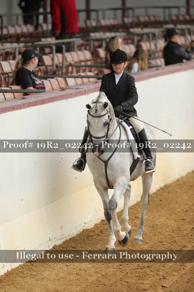 Proof 19R2_02242