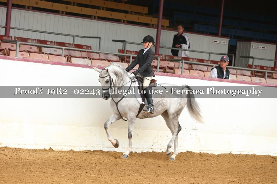 Proof 19R2_02243