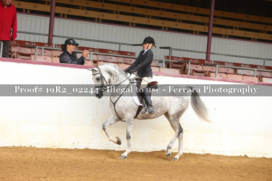 Proof 19R2_02244