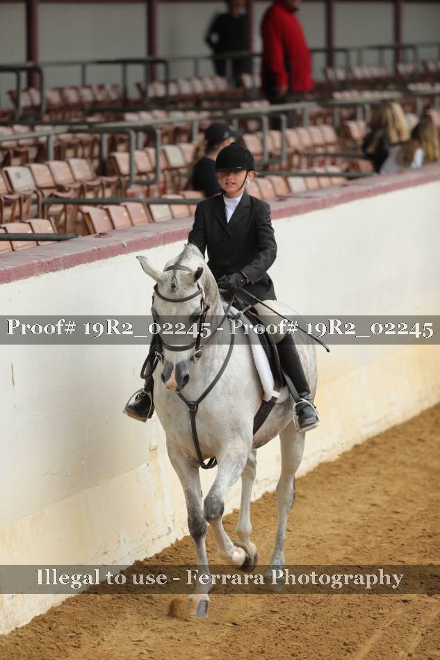 Proof 19R2_02245