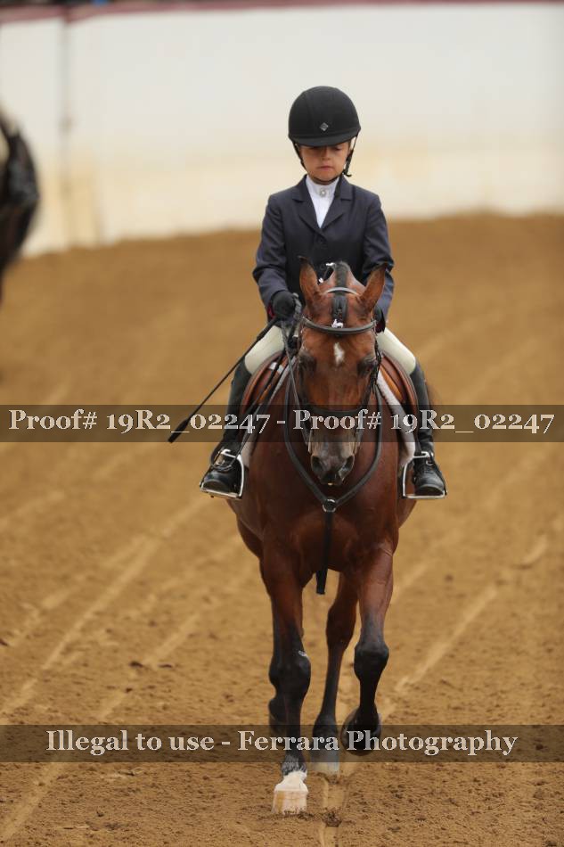 Proof 19R2_02247